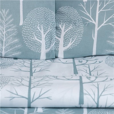 Постельное бельё 2-спальное «Этель» Forest, поплин