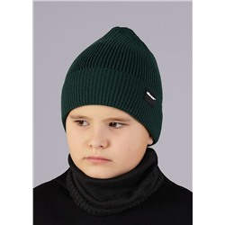 CLEVER Шапка