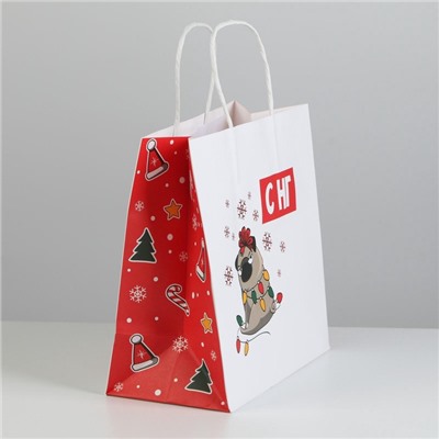 Пакет подарочный новогодний «А вас также», 22×22×11 см