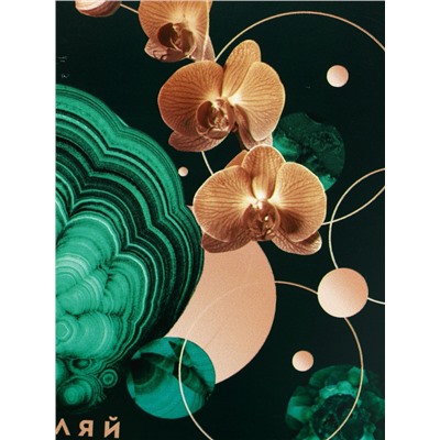 Ланч - бокс прямоугольный «Вдохновляй», 1200 мл