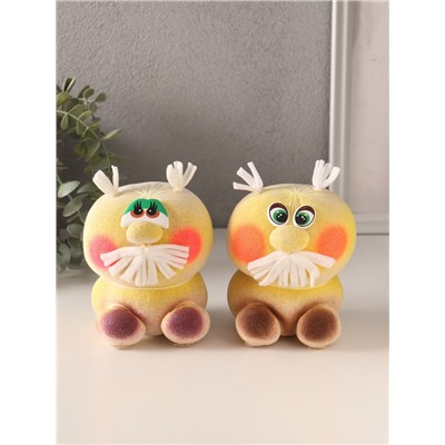 Набор для выращивания «ЭкоЖивчик. Домовой», фигурка растущая в подарочной упаковке