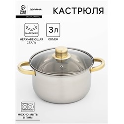 Кастрюля Доляна «Роскошь», 3 л, d=20 см, с крышкой, нержавеющая сталь, капсульное дно