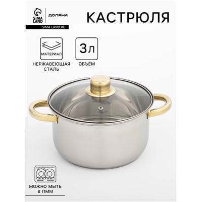 Кастрюля Доляна «Роскошь», 3 л, d=20 см, с крышкой, нержавеющая сталь, капсульное дно