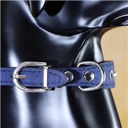 Ошейник «Бархат и стразы», 31×1.3/2 см, ОШ 22-28 см, синий