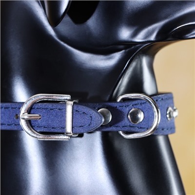 Ошейник «Бархат и стразы», 31×1.3/2 см, ОШ 22-28 см, синий