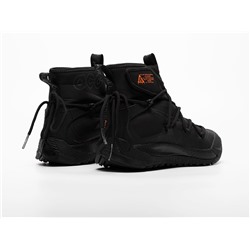 Зимние Кроссовки Nike ACG Air Terra Antarktik