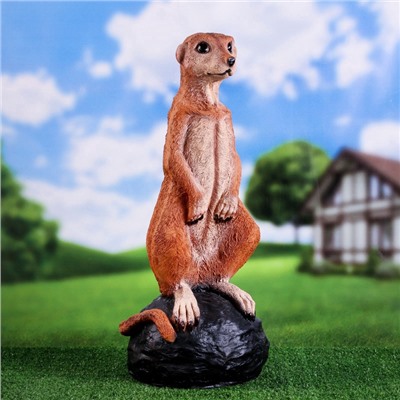 Садовая фигура из полистоуна «Большой сурикат на камне», 60×24×22 см