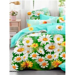 Текс-плюс КПБ Общий НФ-00000188