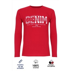 Футболка подростковая с длинным рукавом ФН171-1 Denim