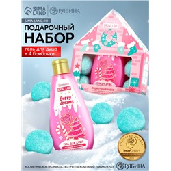 Подарочный набор новогодний: гель для душа 200 мл и бомбочки для ванны 4 шт. × 40 г, URAL LAB