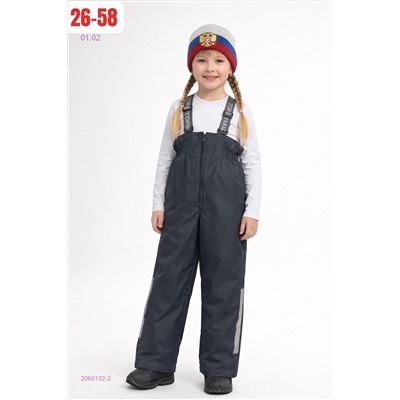 штаны весна 2060102-2