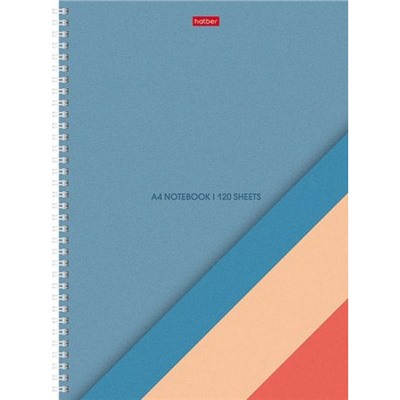 Тетрадь А4 120л клетка на спирали твердая обложка "Color Line" перфорация на отрыв, многоцветный срез (089441) 32849 Хатбер