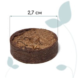 Таблетки торфяные, для рассады, d=2.7 см, с оболочкой, набор 12 шт.
