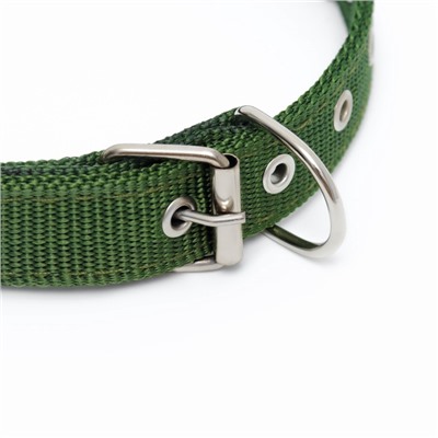 Ошейник «Комфорт» комбинированный (полиэстер, искусственная кожа), 55×2.5 см, ОШ 40-50 см, зелёный