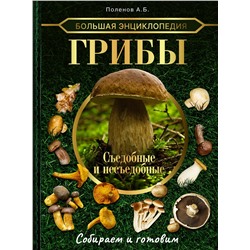 АСТ Поленов А.Б. "Большая энциклопедия. Грибы. Съедобные и несъедобные. Собираем и готовим."