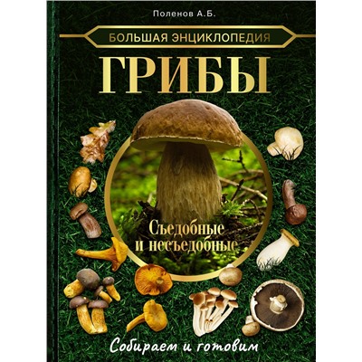 АСТ Поленов А.Б. "Большая энциклопедия. Грибы. Съедобные и несъедобные. Собираем и готовим."