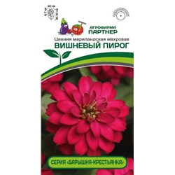 3374P Цинния ВИШНЕВЫЙ ПИРОГ / мариландская махровая 5 шт