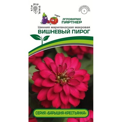3374P Цинния ВИШНЕВЫЙ ПИРОГ / мариландская махровая 5 шт