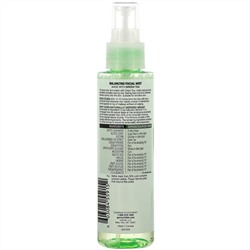 Garnier, SkinActive, Balancing Facial Mist with Green Tea, 4.4 fl oz (130 ml)