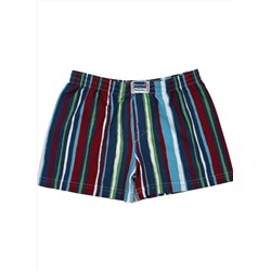 Трусы для мальчика Berrak