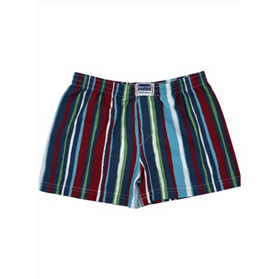 Трусы для мальчика Berrak