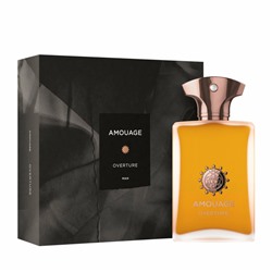 Парфюмерная вода Amouage Overture Man мужская (Luxe)