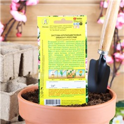 Семена  Эустома "Эйбиси" F1 роуз рим крупноцветковая махровая, 5 шт.