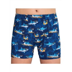 Трусы для мальчика Berrak