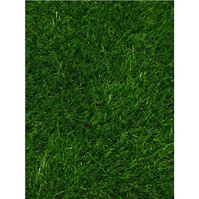 Газон искусственный, ворс 30 мм, 2×10 м, зелёный, Greengo