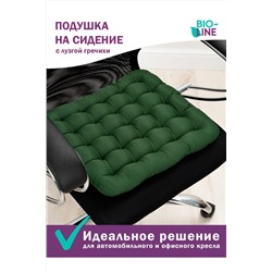 Подушка для мебели Bio-Line с гречневой лузгой PSG25 НАТАЛИ, 879651