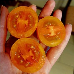 7042T Томат Ло-чан-и-ха 10шт