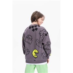 BFN3369/2 (Толстовка для мальчика, Pelican )