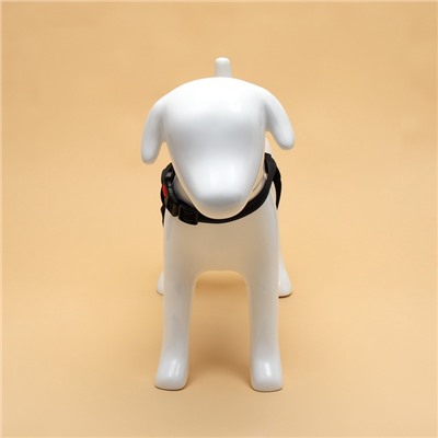 Шлейка К7, размер S, ОГ 44-55 см, вес 5-9 кг, мягкая, светоотражающая, чёрная