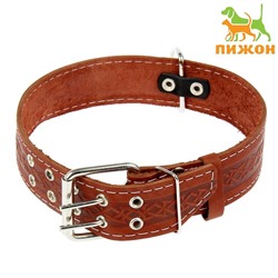 Ошейник кожаный однослойный, 73×4.5 см, ОШ 51-65 см, микс
