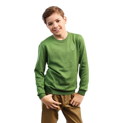 Джемперы ESLI Джемпер для мальчиков 16С-32СП