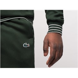 Спортивный костюм Lacoste