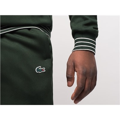 Спортивный костюм Lacoste