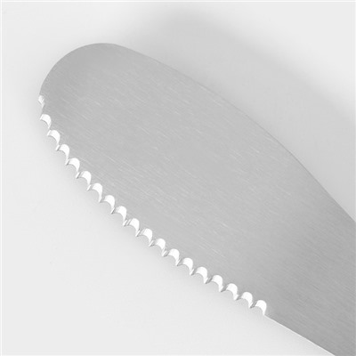Нож для масла Доляна Lime, 20×3 см, нержавеющая сталь, чёрно-зелёный