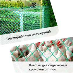 Сетка садовая, 1×5 м, ячейка ромб 13×13 мм, для птичников, пластиковая, зелёная, Greengo, в рулоне