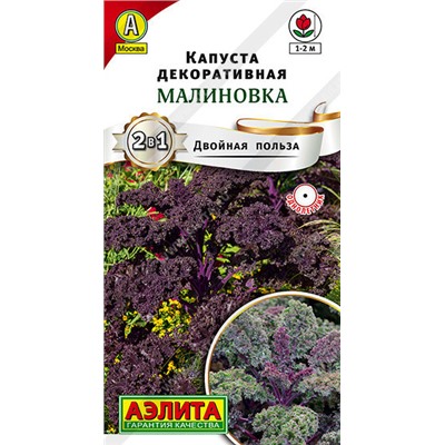 0486A Капуста декоративная Малиновка 0,3 г