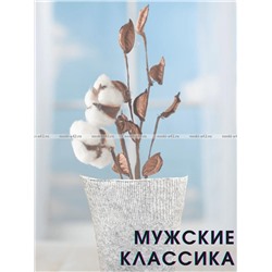 Легион носки мужские светло-серые