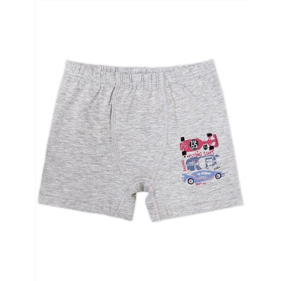 3574 Боксеры для мальчиков многоцвет (BAYKAR)