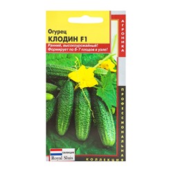 Семена Огурец "Клодин" F1, Раннеспелый, партенокарпический, 5 шт