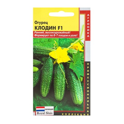 Семена Огурец "Клодин" F1, Раннеспелый, партенокарпический, 5 шт