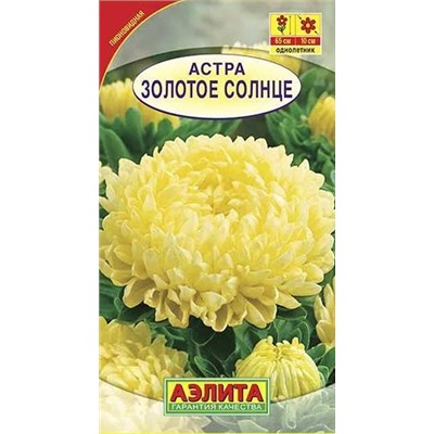 Астра Золотое Солнце Аэлита