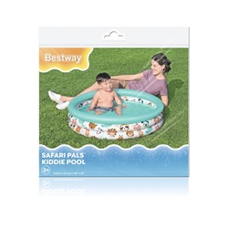 Бассейн надувной «Океан», 102×25 см, от 2 лет, МИКС, 51008 Bestway