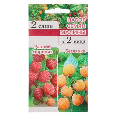 Малина Набор красная+желтая ЕКБ