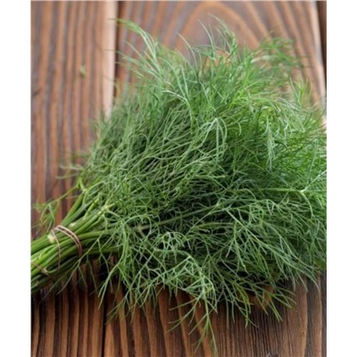 Укроп среднеранний Ханак