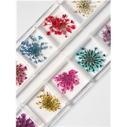 Сухоцветы для декора, 12 видов, в футляре, разноцветные