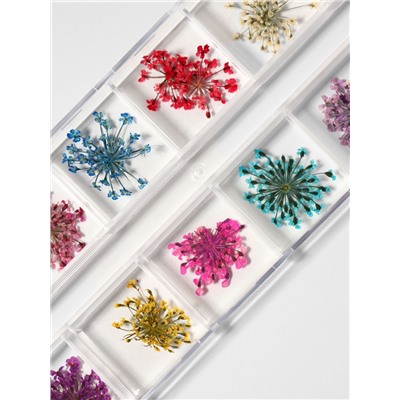 Сухоцветы для декора, 12 видов, в футляре, разноцветные